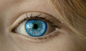 Lees meer over het artikel Contactlenzen online kopen
