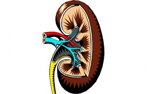 Lees meer over het artikel Nierbekkenontsteking met urosepsis